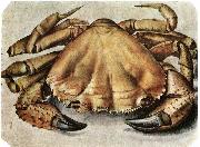 Albrecht Durer Lobster 1495 Watercolour and gouache oil painting artist